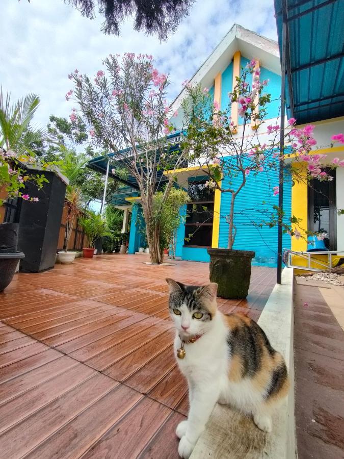 Omah Mendut Homestay Banyuwangi  Exterior foto